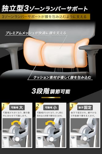 EastForce 日本ブランド LUMBIRT4.0(ランバート4.0) メッシュ座面 3ゾーンランバーサポート搭載 座面スライド 4Dヘッドレスト 4Dアームレスト 背面5段階調節 リクライニング 人間工学 オフィスチェア デスクチェア 椅子 ブラック 中間 画像