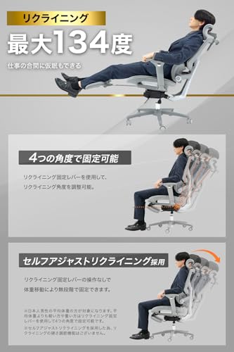 EastForce 日本ブランド LUMBIRT4.0(ランバート4.0) メッシュ座面 3ゾーンランバーサポート搭載 座面スライド 4Dヘッドレスト 4Dアームレスト 背面5段階調節 リクライニング 人間工学 オフィスチェア デスクチェア 椅子 ブラック 中間 画像