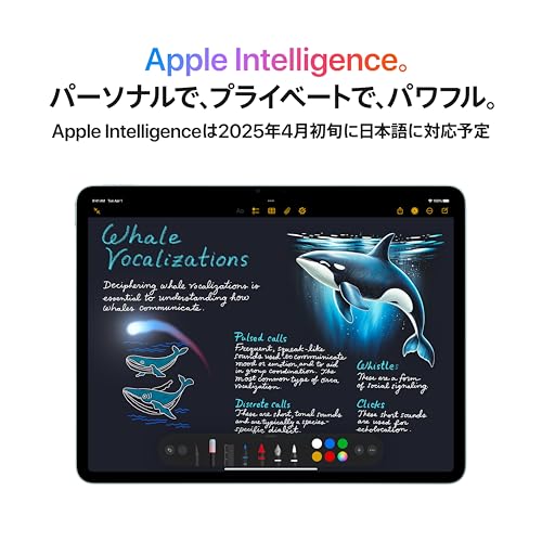 Apple 13 インチ iPad Air (M3): Apple Intelligence のために設計、Liquid Retina ディスプレイ、256GB、12MP フロント/バックカメラ、Wi-Fi 6E、 Touch ID、一日中使えるバッテリー - スペースグレイ 中間 画像