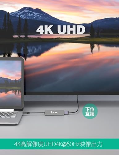 2025高機能版 USB C ハブ 6-in-1 Lvdou アダプタ|100W PD充電対応・4K 60Hz HDMI・MicroSD/SDカードリーダー搭載|MacBook Pro/Air, iPad Pro, iPhone 15/16, Surface Pro, Switch2/Switch, Galaxy Book, Chromebook対応 ノートPC/タブレット用 中間 画像