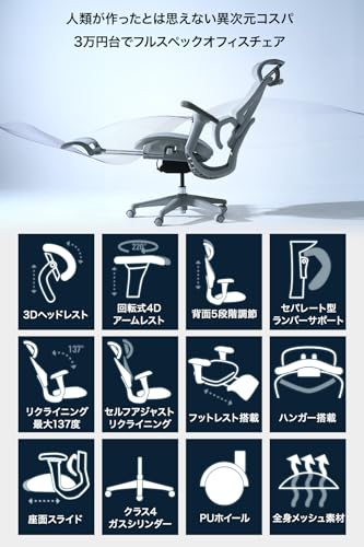 EastForce エイリアンチェアプロ 3万円台でフルスペックオフィスチェア 3Dヘッドレスト 4Dアームレスト ランバーサポート高さ調節 座面スライド ハンガー搭載 デスクチェア グレー 中間 画像