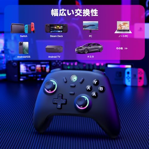 PC コントローラー 無線/有線接続 2.4Gレシバー付き ホール効果スティック RGBライト 1000Hz ポーリングレート TURBO連射 振動調整 800mAhバッテリー PC/Steam deck/Switch/Android/iOSに対応 ブラック 中間 画像