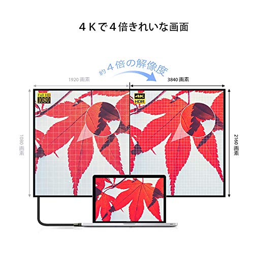 Displayport ケーブル,iVanky【DPケーブル 1.2/4K/3M】4K@60Hz/ 2K@165Hz/ 2K@144Hz, DP to DP,最大21.6Gbpsハイスピード,PC/ASUS/Dell/Acer ノートパソコン/テレビ対応 ディスプレイポート ケーブル 中間 画像