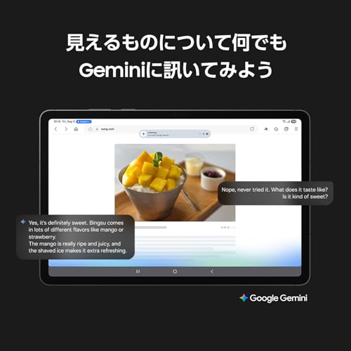 Samsung Galaxy Tab S11 256GB（Wi-Fi）｜Galaxy AI対応｜グレー｜タブレット｜Samsung純正 国内正規品｜2025年発売｜防水防塵｜Sペン付き｜11インチ｜256GB(最大2TB拡張)｜バッテリー8,400mAh｜469g｜Android｜SM-X730NZAEXJP 中間 画像