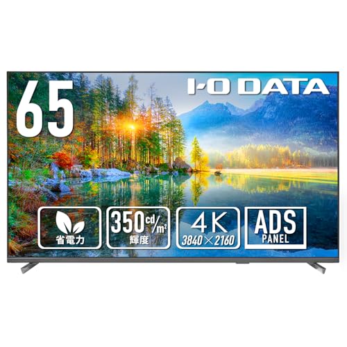 IODATA モニター 65インチ 4K UHD ADSパネル 高輝度 350cd/m2 18時間連続稼働 サイネージ (HDMI×3/D-sub9ピン/USB-A/スピーカー付/リモコン付/土日サポート/日本メーカー) EX-U651DX 画像1