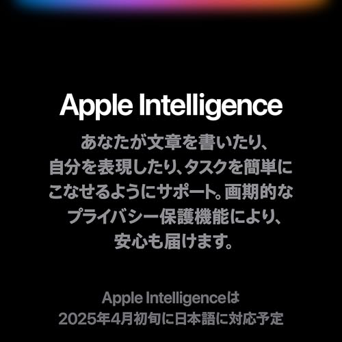 Apple 13インチiPad Pro(M4):Ultra Retina XDR ディスプレイ、512GB、横向きの 12MP フロントカメラ/12MP バックカメラ、LiDAR スキャナ、Wi-Fi 6E + 5G 携帯電話通信(eSIM)、Face ID、一日中使えるバッテリー- シルバー 最後 画像